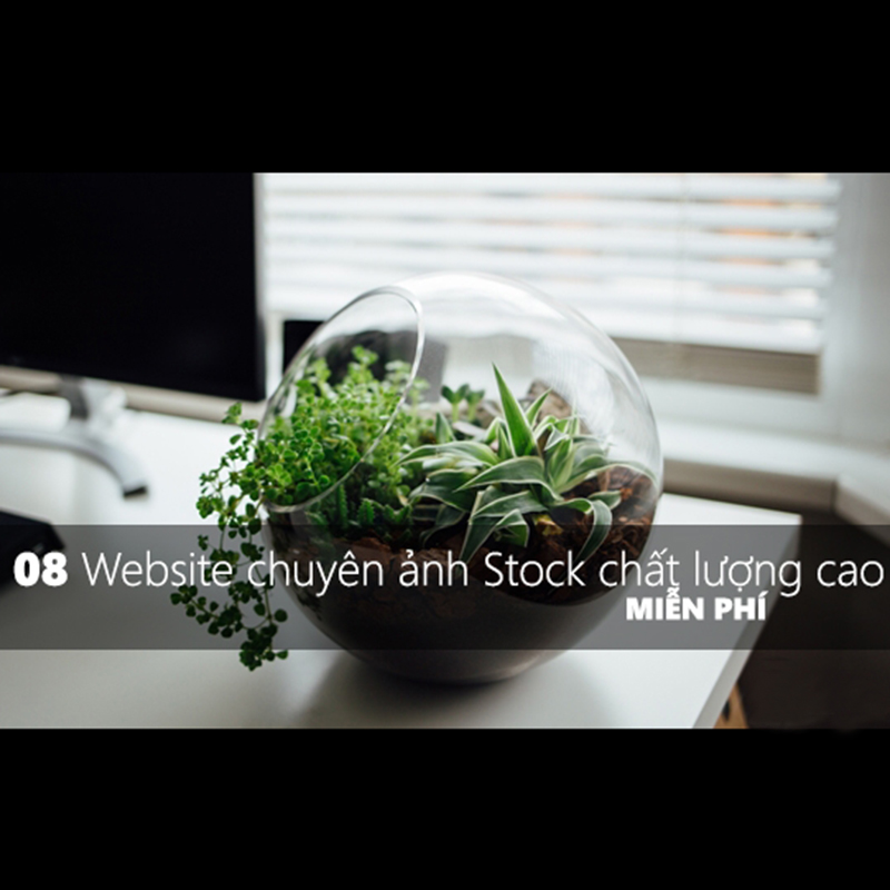 8 Thánh địa chuyên cung cấp ảnh Stock chất lượng cao và miễn phí cho dân thiết kế